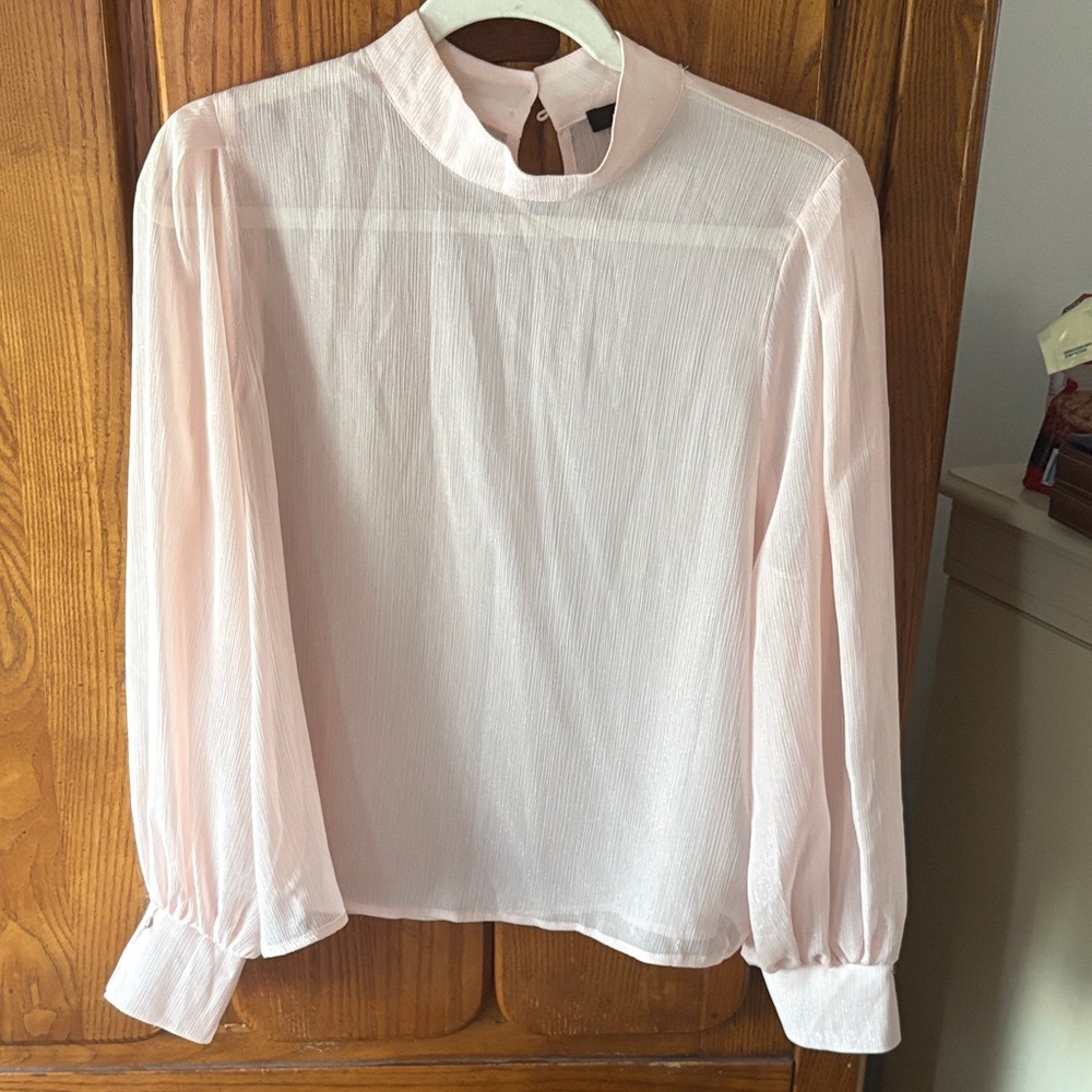 Sweet Rain Blush Long-Sleeve Sheer High-Neck Blouse